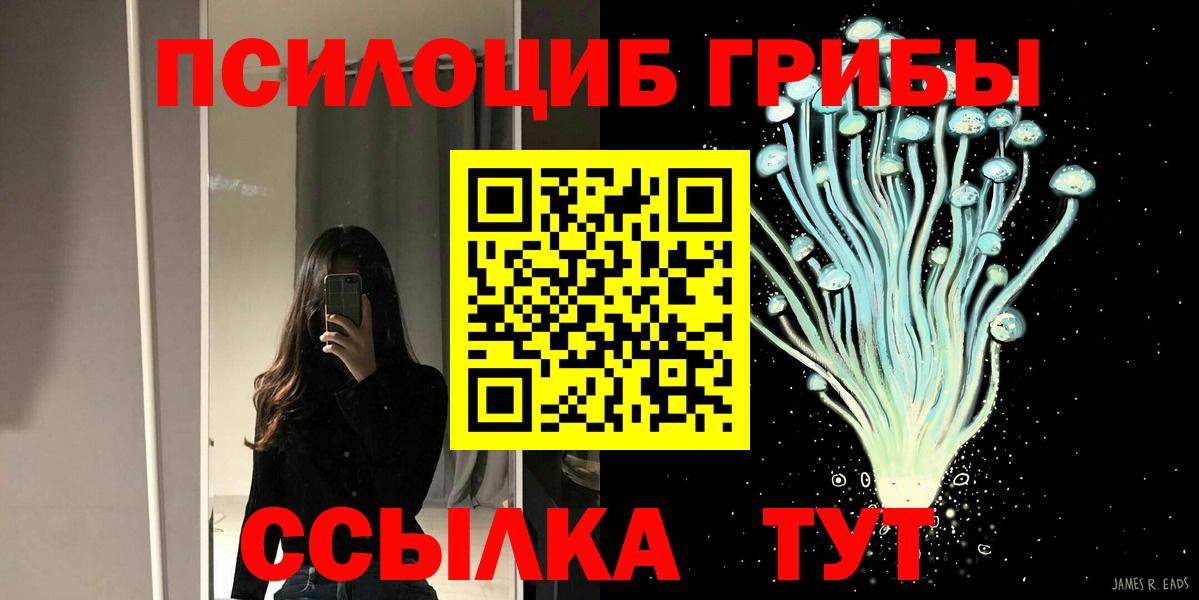 Псилоцибиновые грибы GOLDEN TEACHER Киров